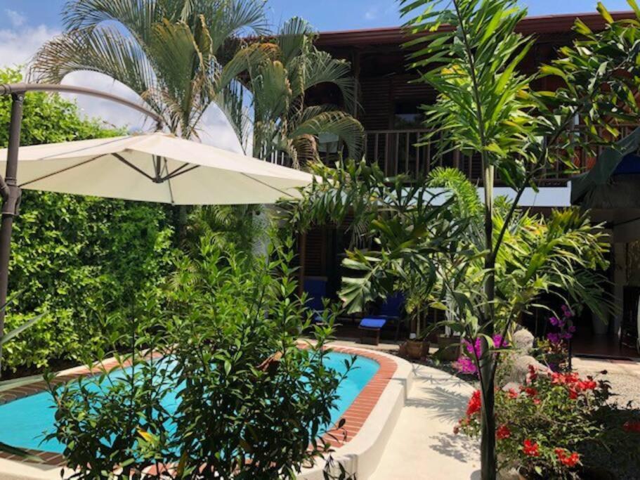 Casa Toucan Mit Privat Pool Near Np Ballena Uvita Kültér fotó