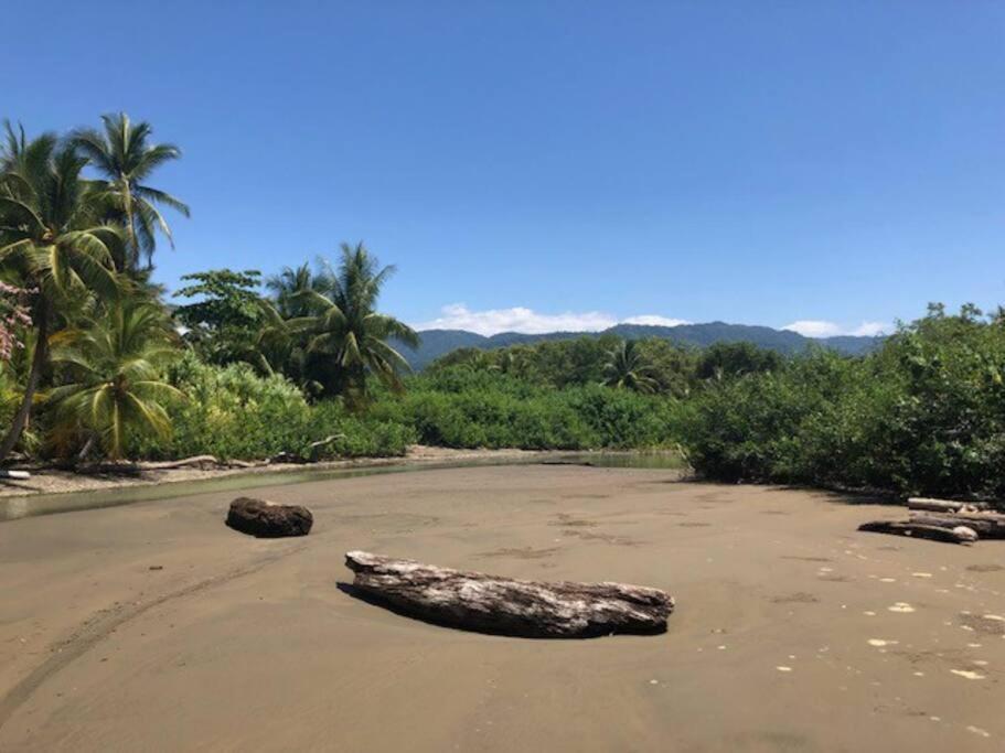 Casa Toucan Mit Privat Pool Near Np Ballena Uvita Kültér fotó