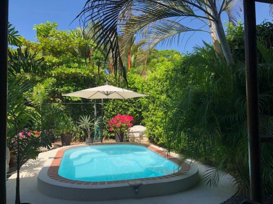 Casa Toucan Mit Privat Pool Near Np Ballena Uvita Kültér fotó