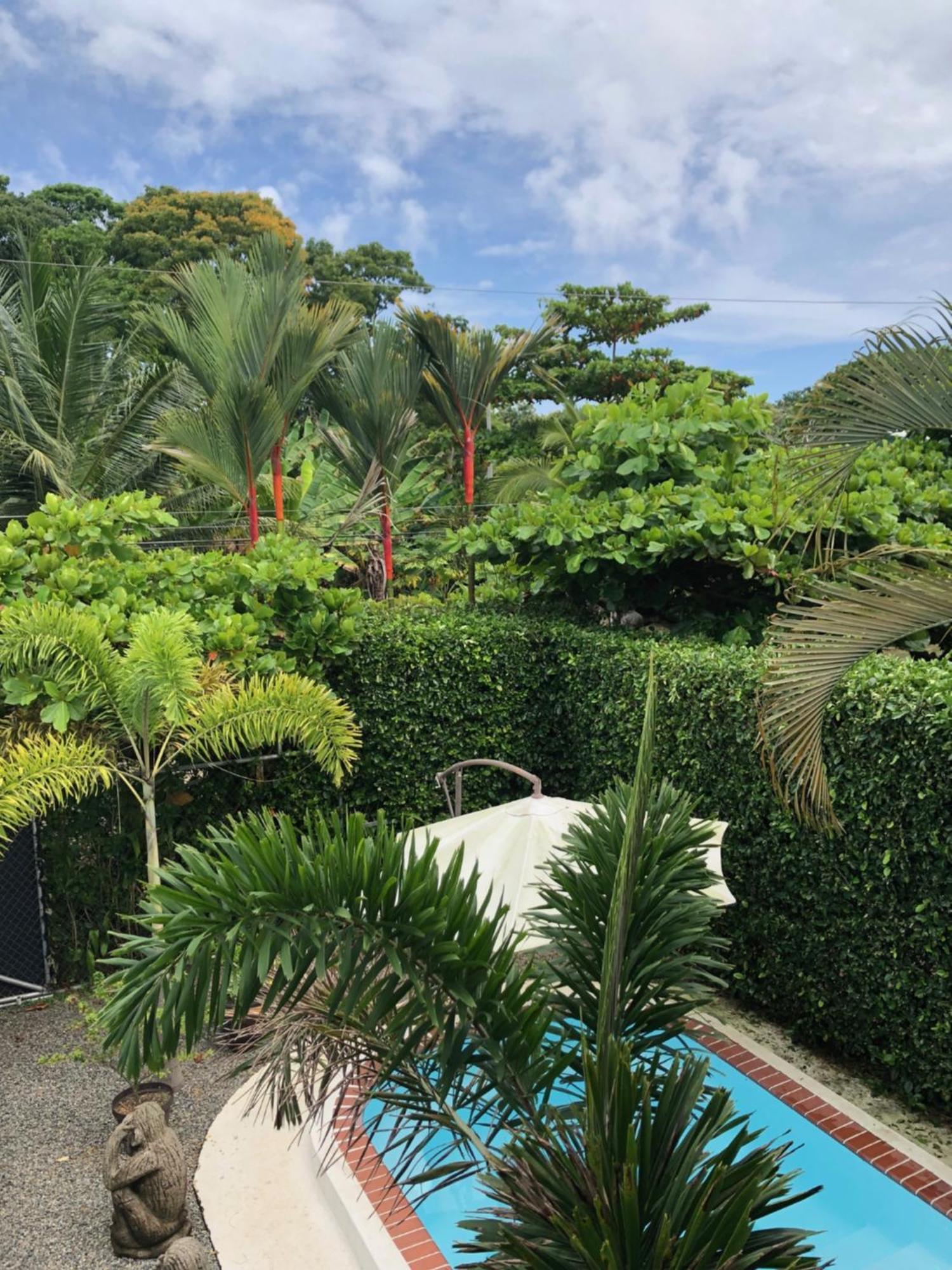 Casa Toucan Mit Privat Pool Near Np Ballena Uvita Kültér fotó