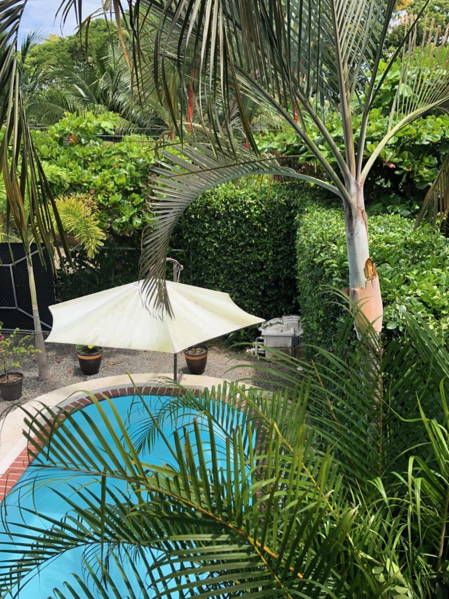 Casa Toucan Mit Privat Pool Near Np Ballena Uvita Kültér fotó